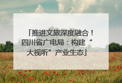 推进文旅深度融合！四川省广电局：构建“大视听”产业生态